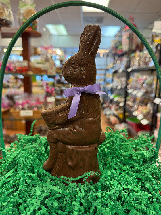 Milk Chocolate Hollow Bunny on Log
