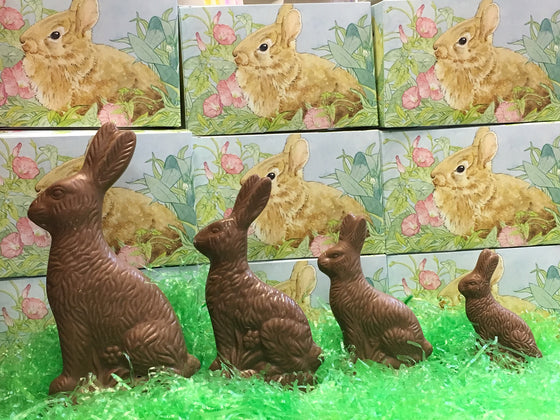 Solid Milk Chocolate Sitting Easter Bunny
